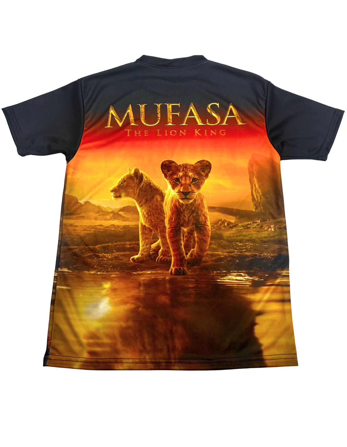 YOUTH AT THE MOVIES: LION KING